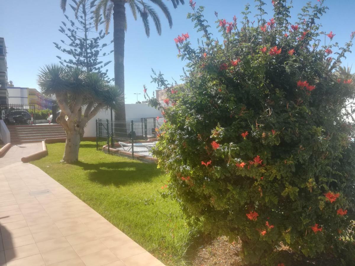 Apartment Teror Playa Playa del Ingles (Gran Canaria)